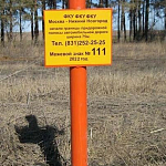  Межевой знак. Тип 1 (07.02.2025)